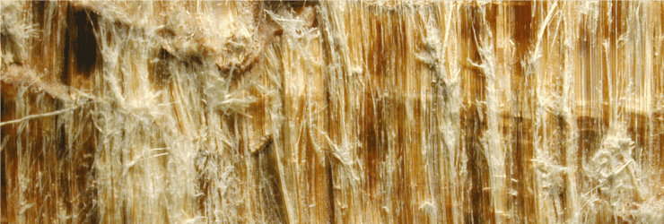 immagine delle fibre di amianto